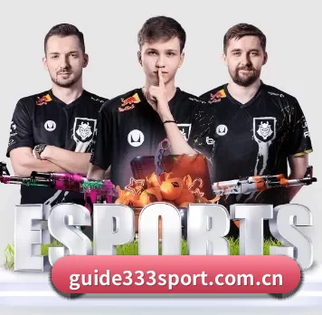 AI 革新（333Sports）